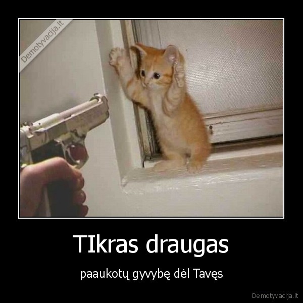 TIkras draugas