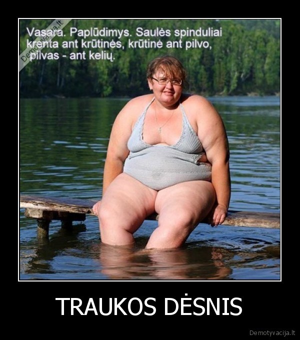 TRAUKOS DĖSNIS