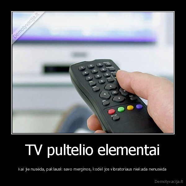 TV pultelio elementai