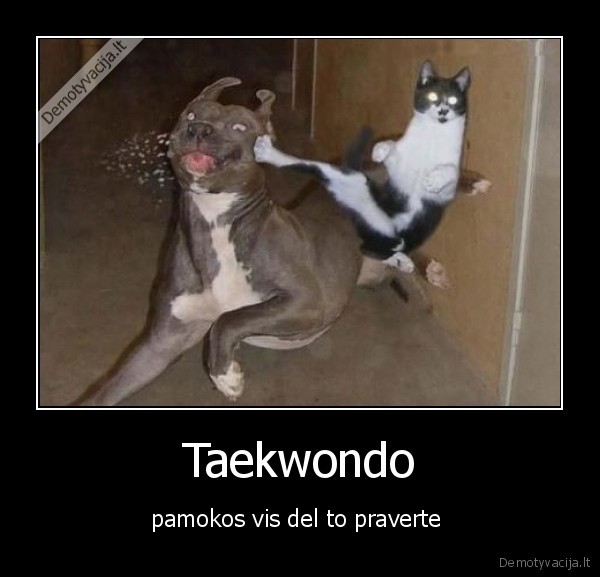 Taekwondo