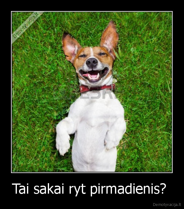 Tai sakai ryt pirmadienis? 