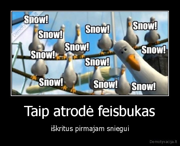 Taip atrodė feisbukas