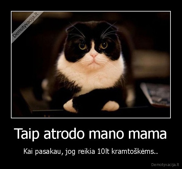 Taip atrodo mano mama