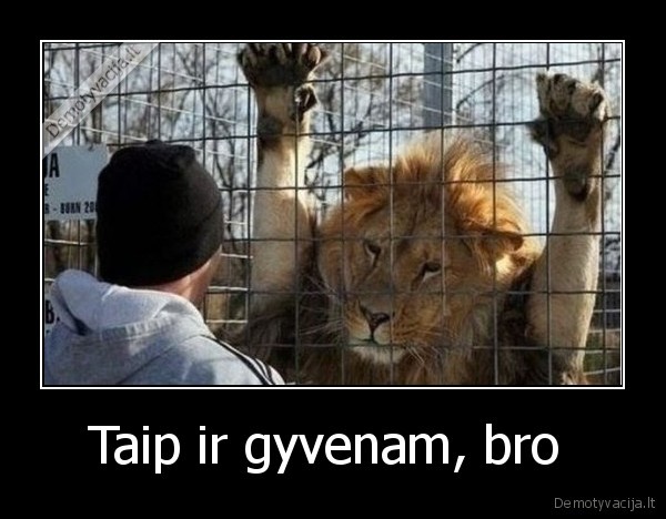 Taip ir gyvenam, bro 