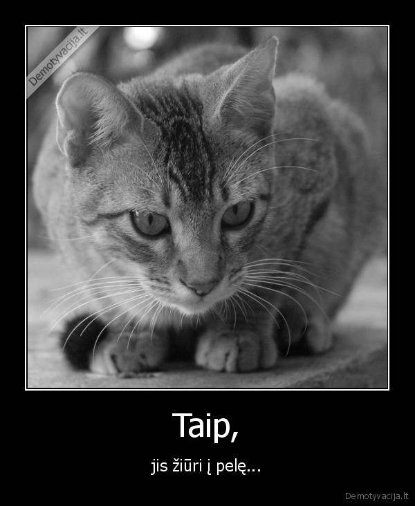 Taip,