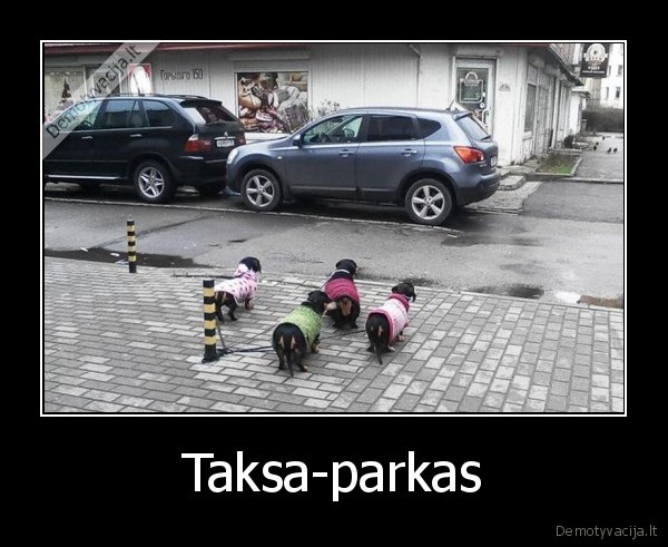 Taksa-parkas