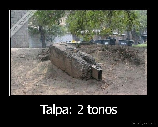 Talpa: 2 tonos