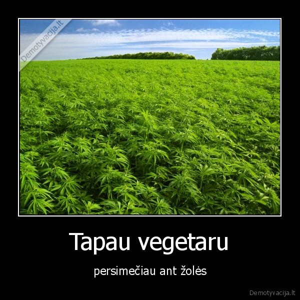 kanape,marihuana,narkotikai,vegetaras