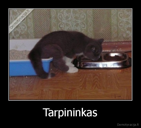 Tarpininkas