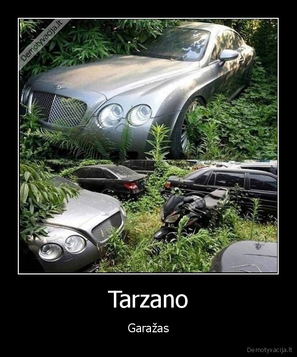 tarzanas,automobiliai, miskuose