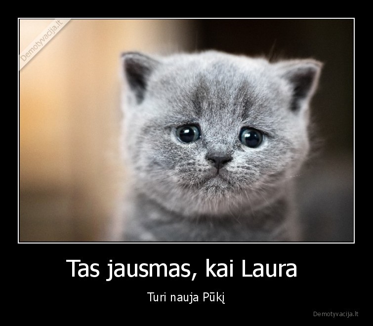 Tas jausmas, kai Laura 