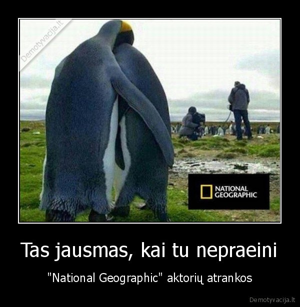 pingvinai,dokumentika