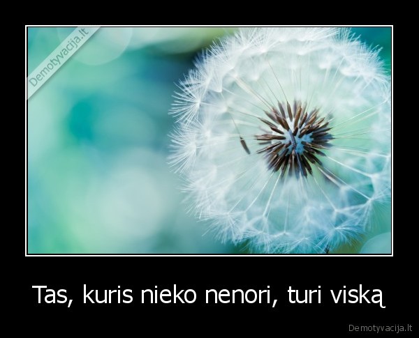 Tas, kuris nieko nenori, turi viską