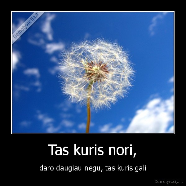 Tas kuris nori,