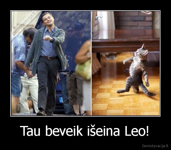 Tau beveik išeina Leo!