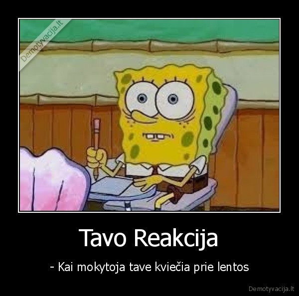 Tavo Reakcija