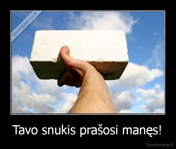 Tavo snukis prašosi manęs!