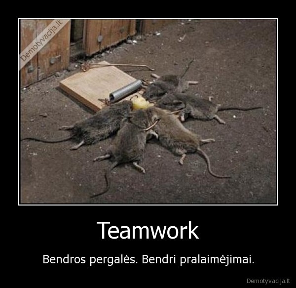 team, work, lol, peles, spastai, juokingas