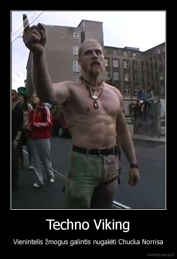 Techno Viking