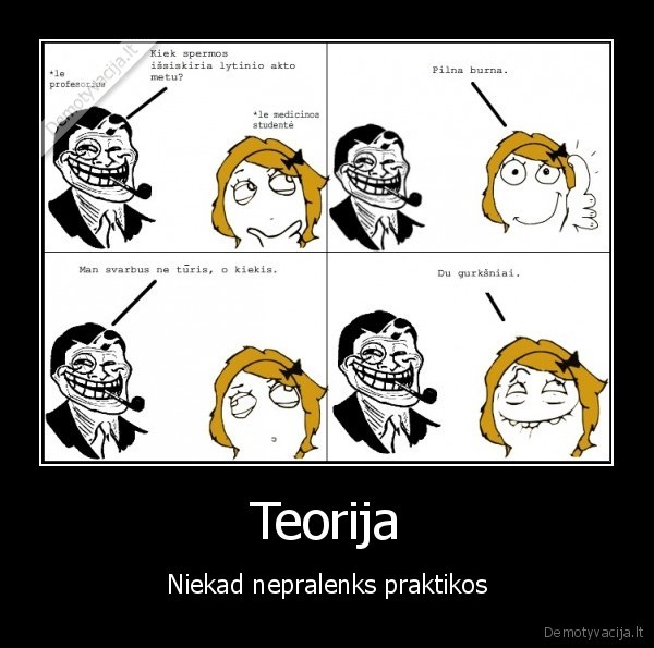 Teorija