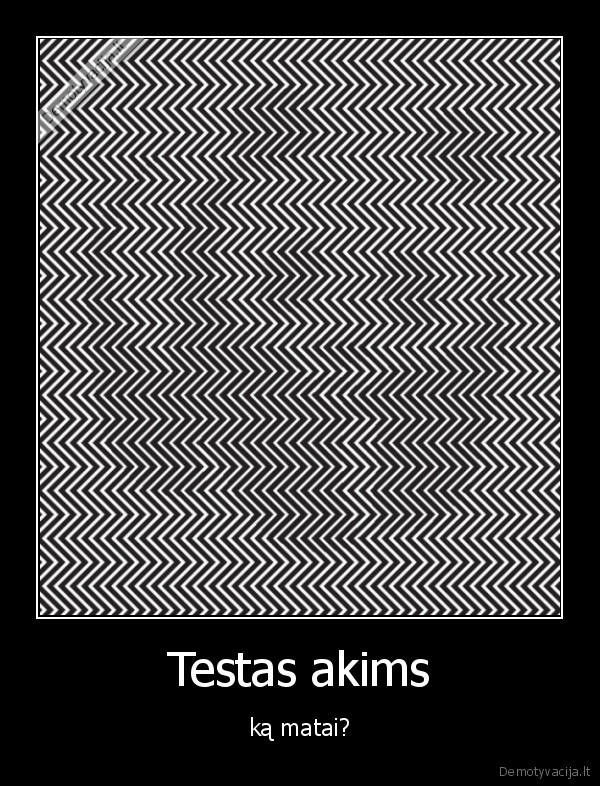 Testas akims