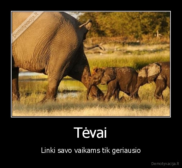 Tėvai