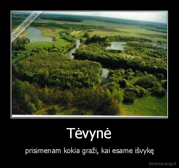 tevyne