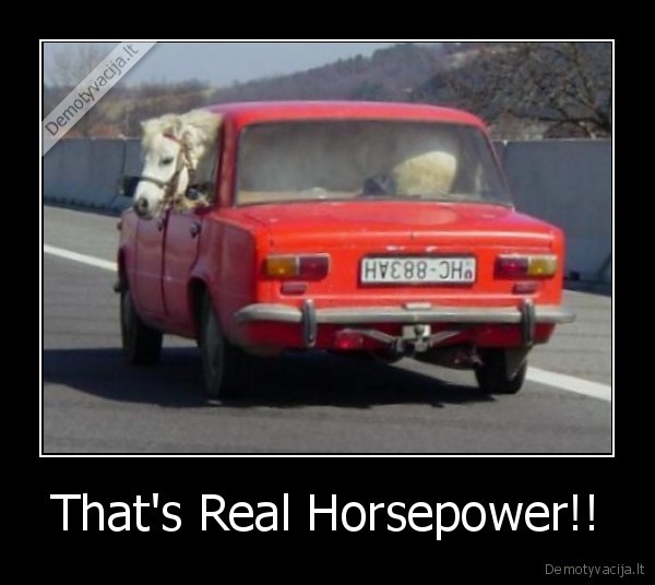 That's Real Horsepower!!