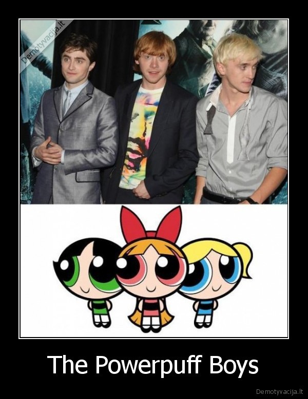 the, powerpuff, boys