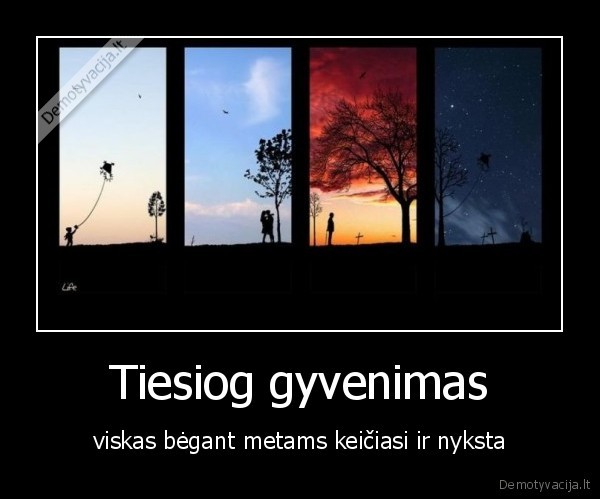 Tiesiog gyvenimas