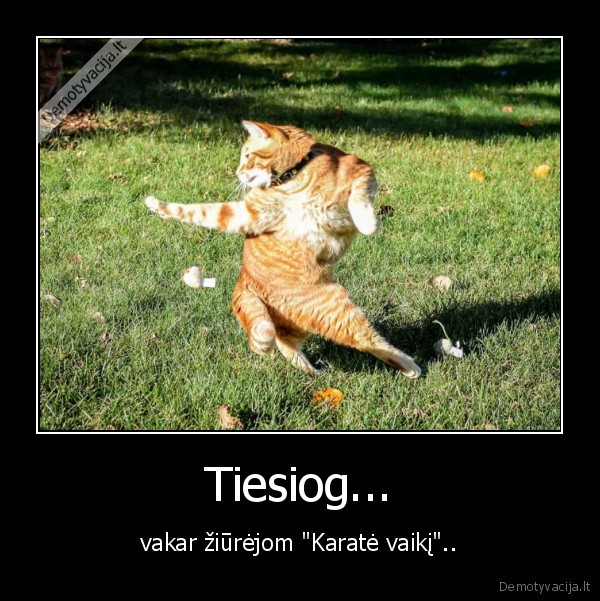 Tiesiog...