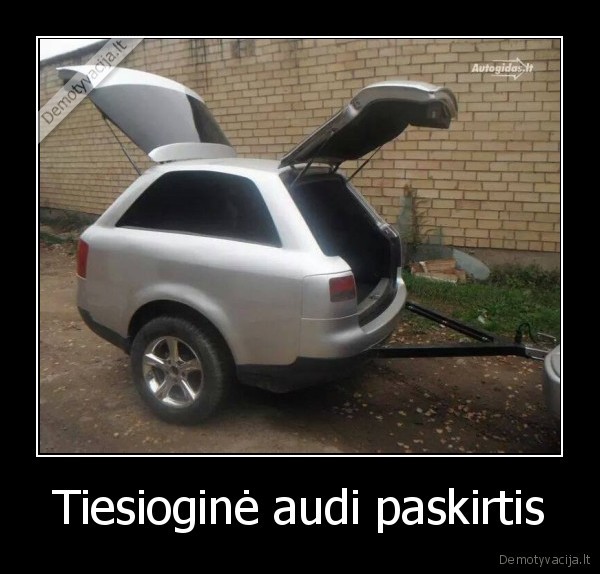 Tiesioginė audi paskirtis