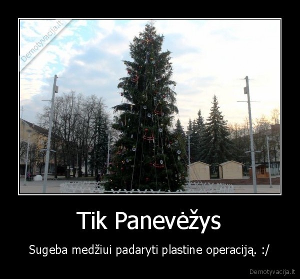 panevezys,egle,medis,plastine,opercija