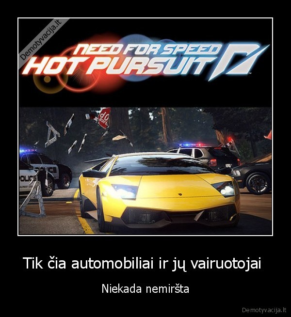 Tik čia automobiliai ir jų vairuotojai 