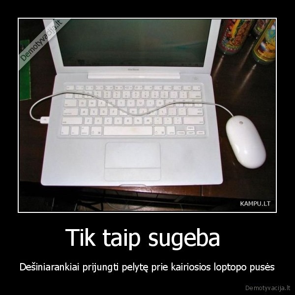 Tik taip sugeba 