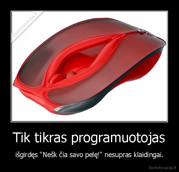 programuotojas,pele,klaidingai