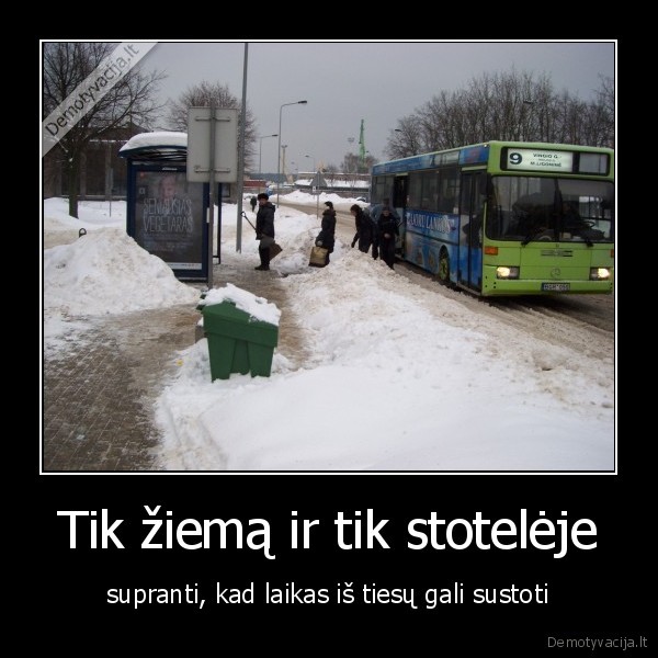 blt, susalau, belaukdama, autobuso