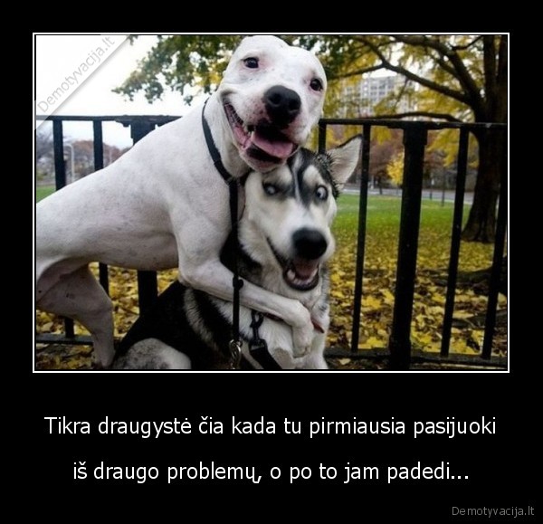 draugyste,problemos,padeti