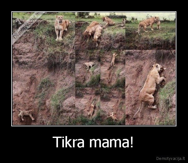 Tikra mama!