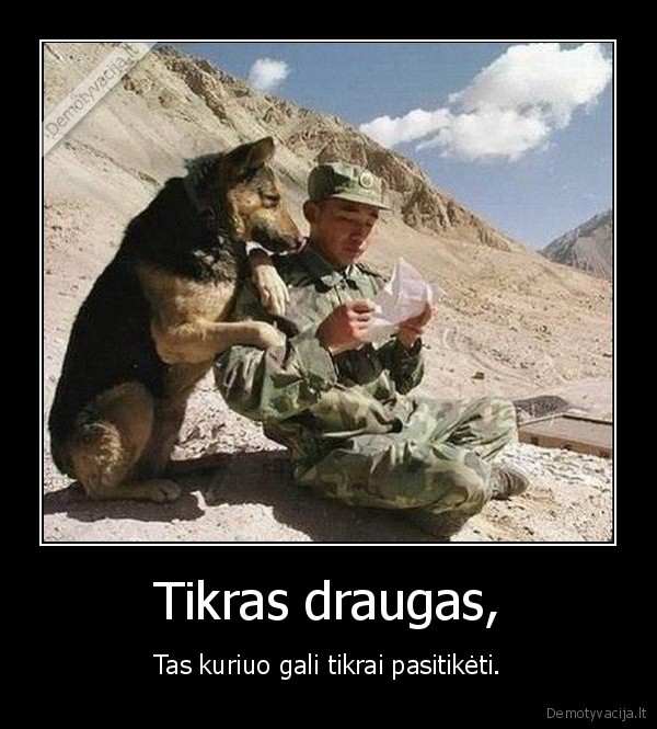 Tikras draugas,