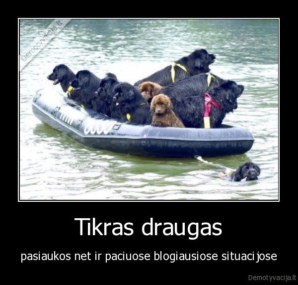 Tikras draugas