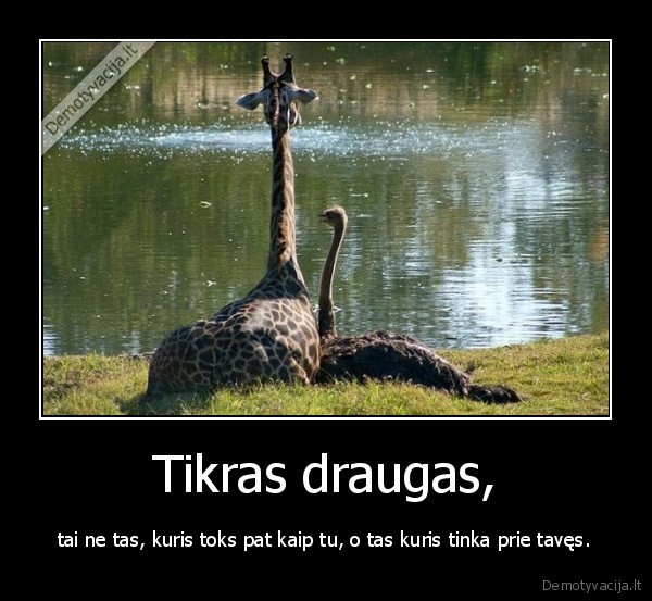 Tikras draugas,