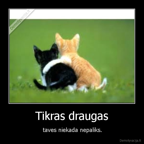 Tikras draugas