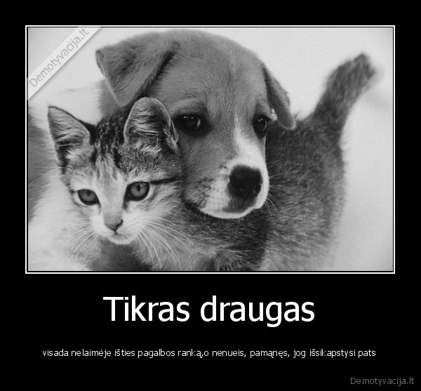 Tikras draugas