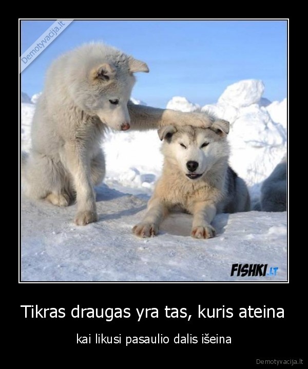 Tikras draugas yra tas, kuris ateina