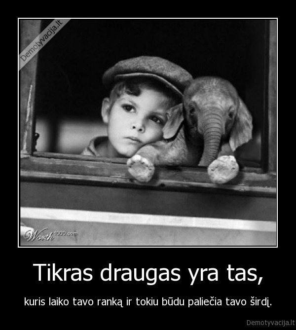 Tikras draugas yra tas,