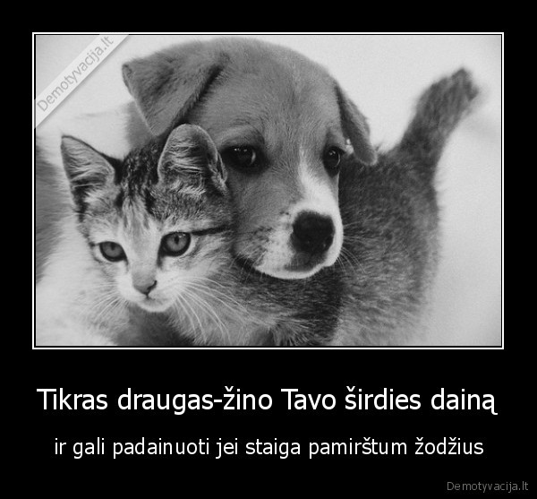 Tikras draugas-žino Tavo širdies dainą