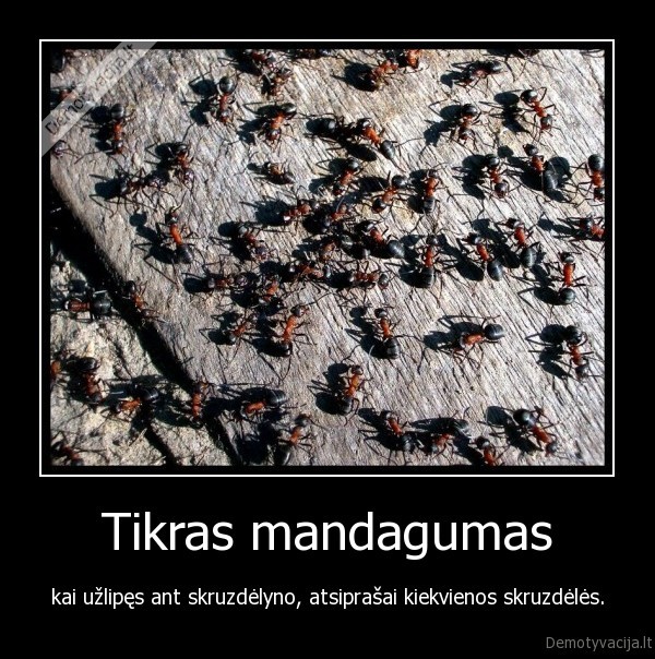 Tikras mandagumas