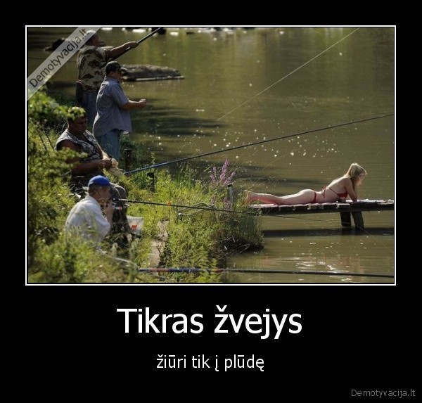 zvejys,plude