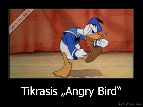 Tikrasis „Angry Bird“